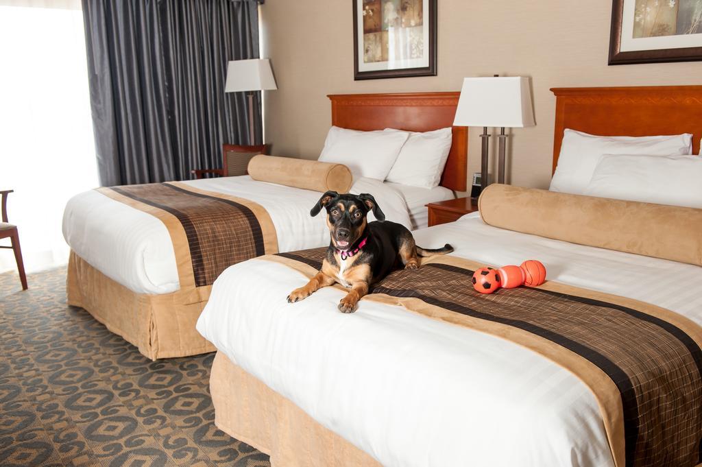 Best Western Brantford Hotel And Conference Centre Ngoại thất bức ảnh